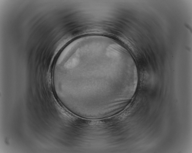 X0000097881466200803281213