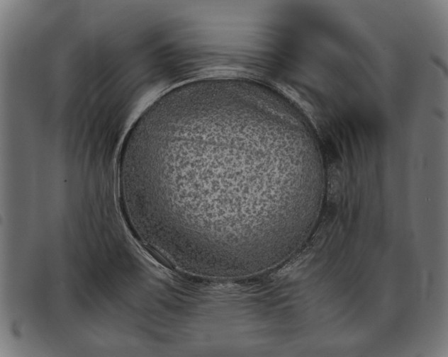 X0000097881467200803281213