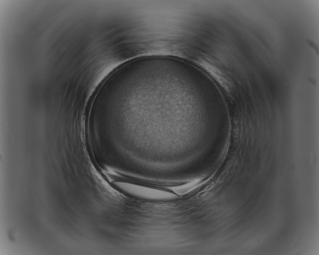 X0000097881468200803281213