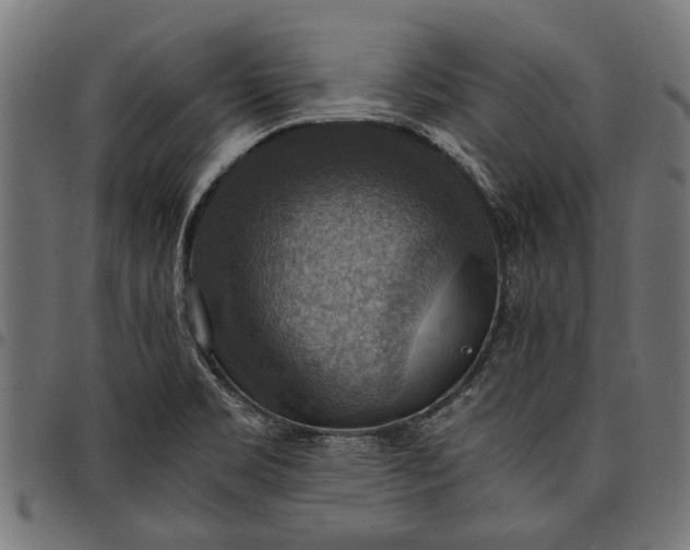 X0000097881469200803281213