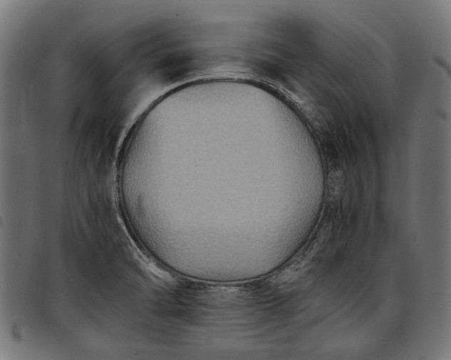 X0000097881470200803281213