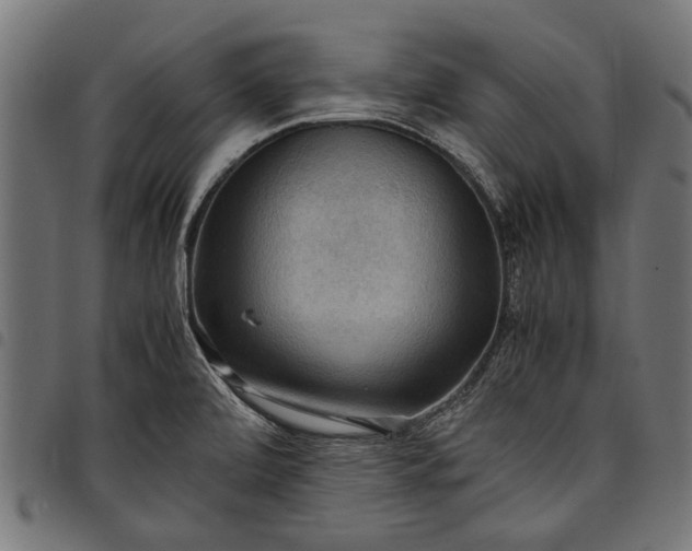 X0000097881472200803281213