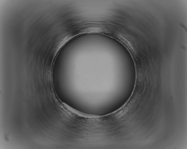 X0000097881473200803281213