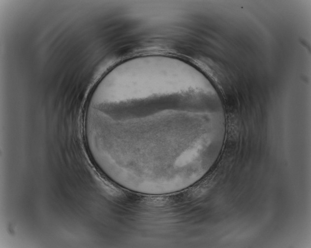 X0000097881474200803281213