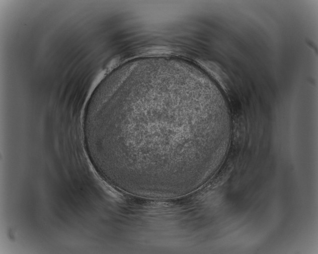 X0000097881475200803281213