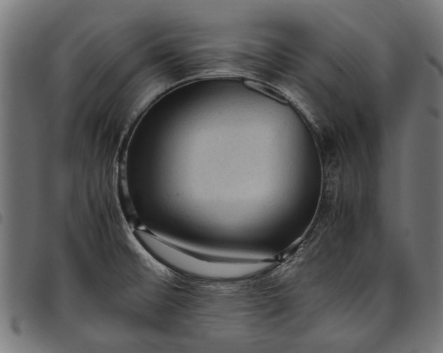 X0000097881476200803281213