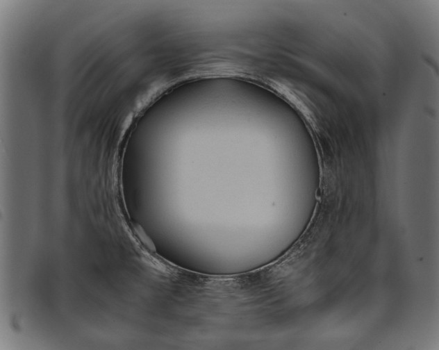 X0000097881477200803281213