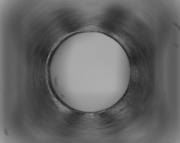 X0000097881478200803281213