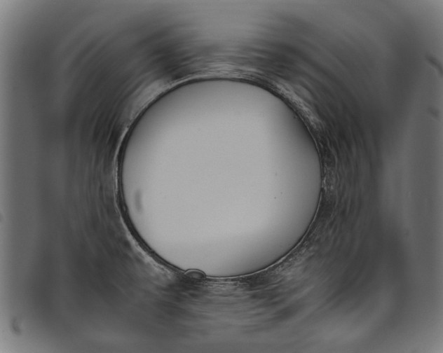 X0000097881479200803281213