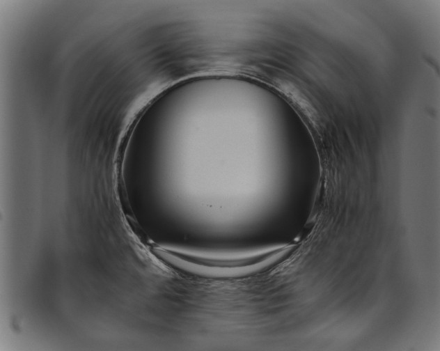 X0000097881480200803281213