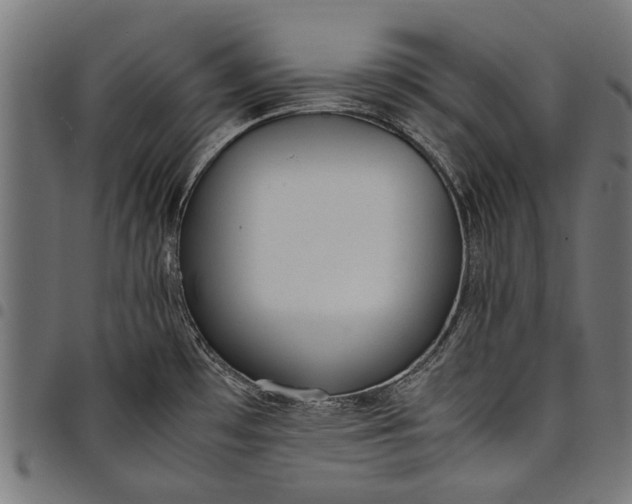 X0000097881481200803281213