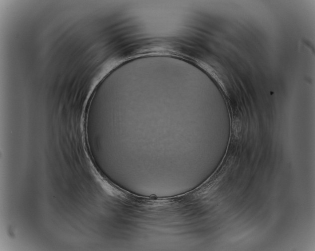 X0000097881482200803281213