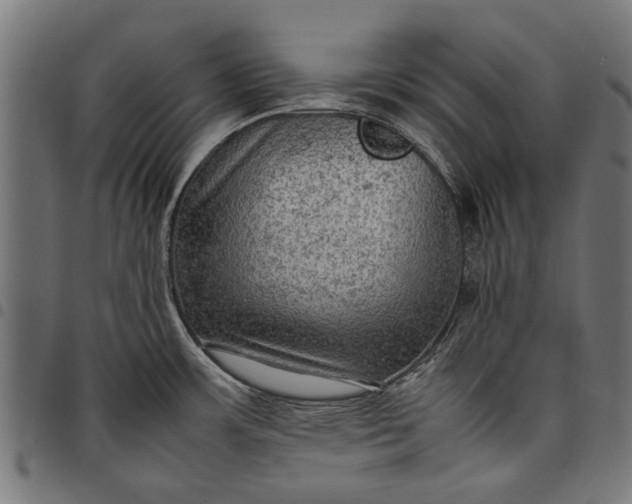 X0000097881483200803281213