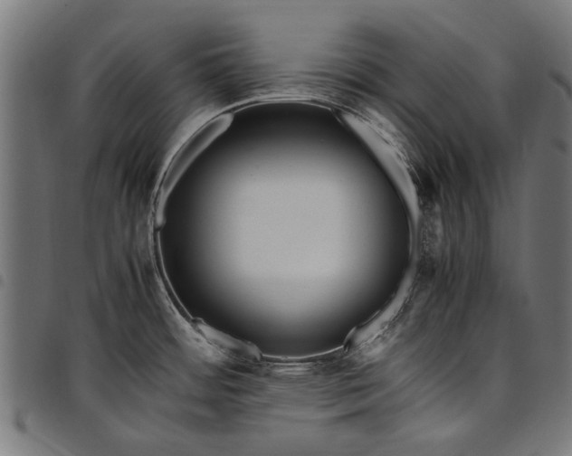 X0000097881484200803281213