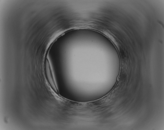 X0000097881485200803281213