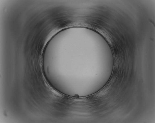 X0000097881486200803281213