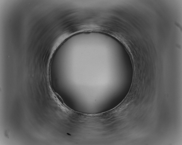 X0000097881488200803281212