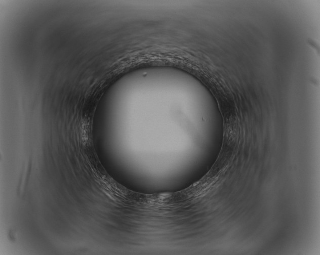 X0000097881490200803281212