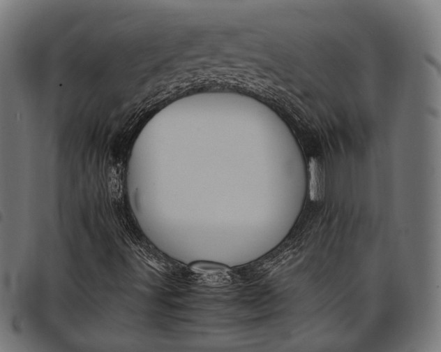 X0000097881491200803281212