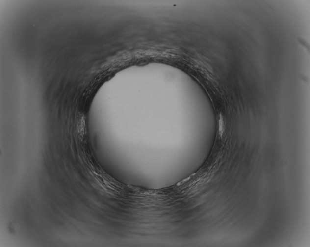 X0000097881492200803281212