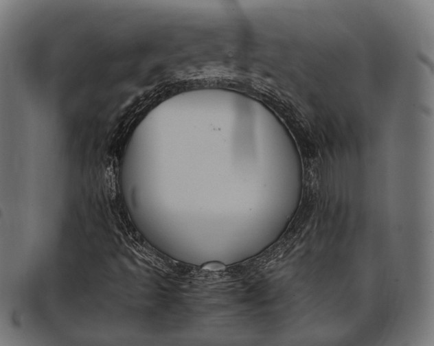 X0000097881493200803281212