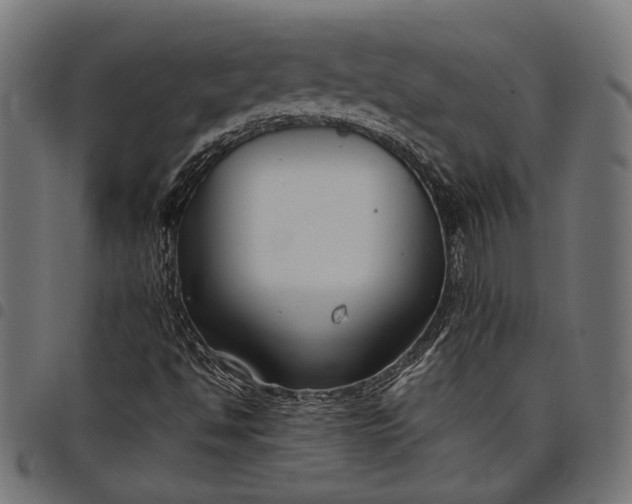 X0000097881494200803281212