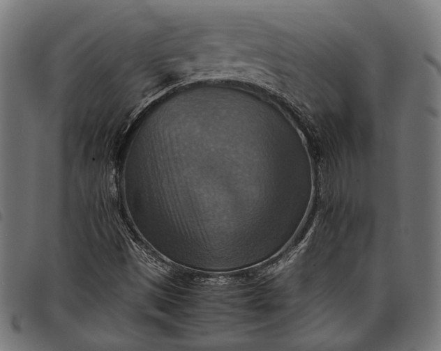 X0000097881497200803281212