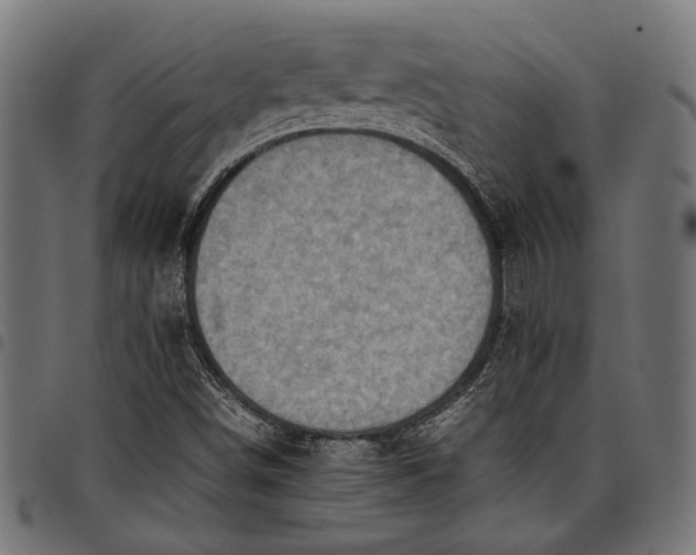 X0000097881498200803281212