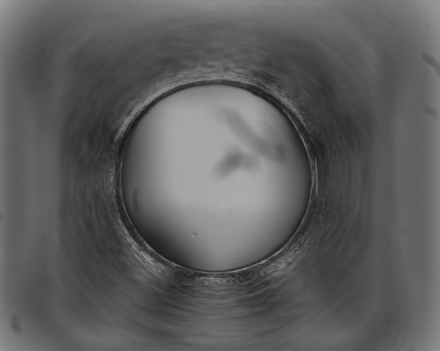 X0000097881500200803281212