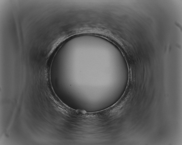 X0000097881501200803281212