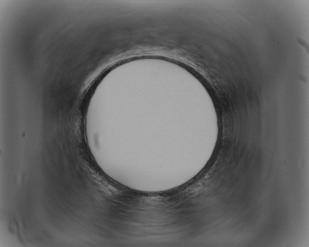 X0000097881502200803281212