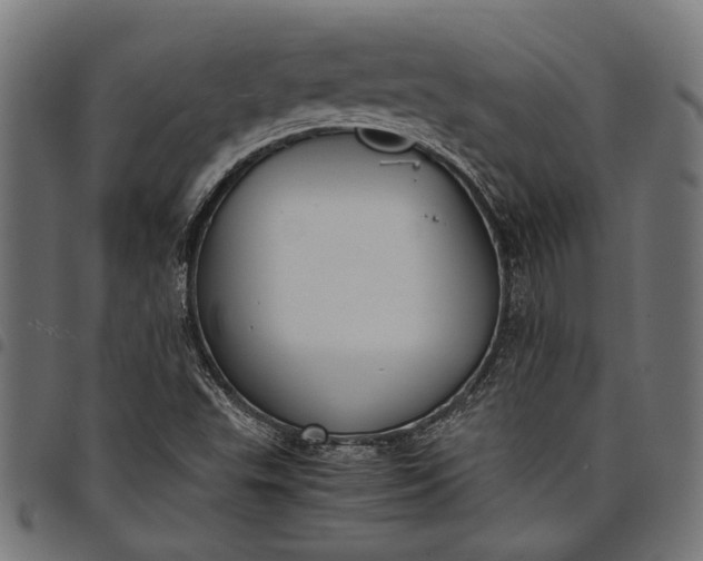 X0000097881503200803281212