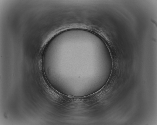 X0000097881504200803281212