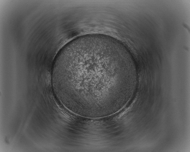 X0000097881505200803281212