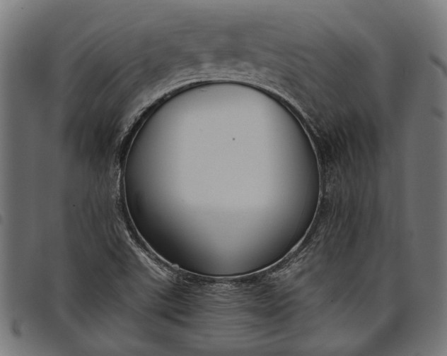 X0000097881507200803281212