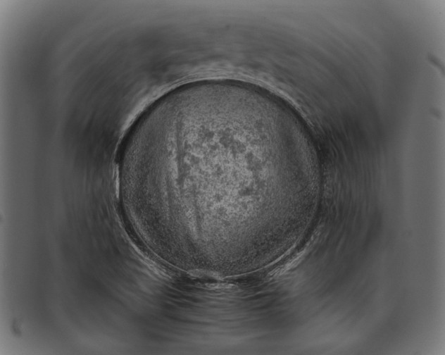 X0000097881509200803281212