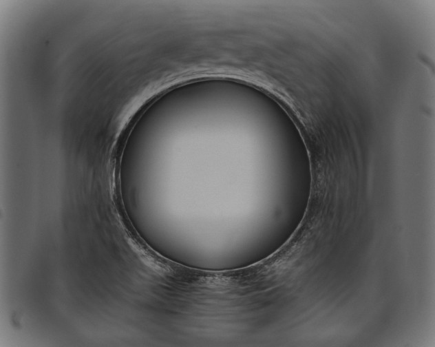 X0000097881511200803281212