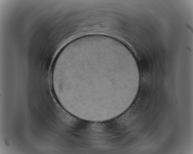 X0000097881514200803281212