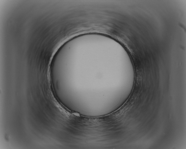 X0000097881516200803281212