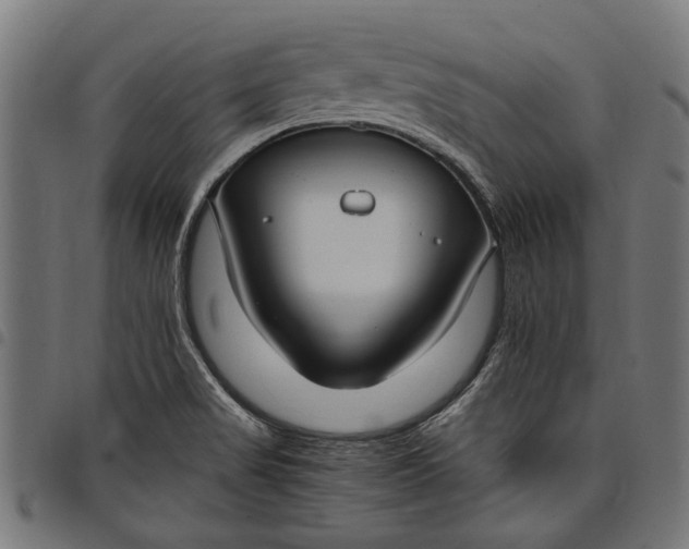 X0000097881517200803281212