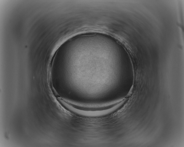 X0000097881520200803281212