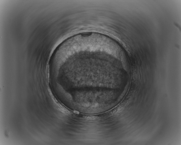 X0000097881522200803281212