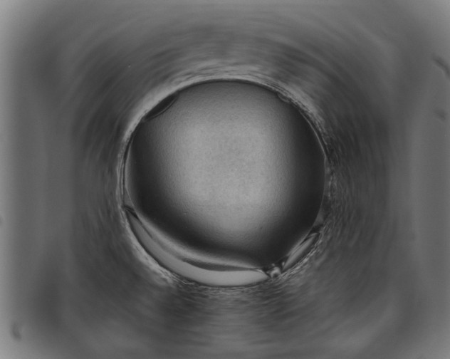 X0000097881528200803281212