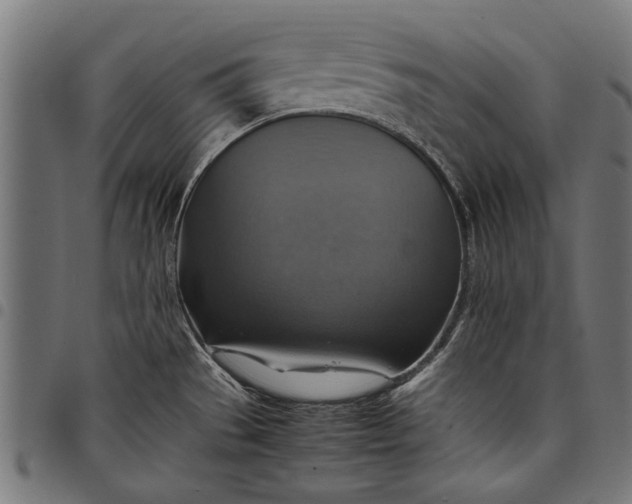 X0000097881529200803281212