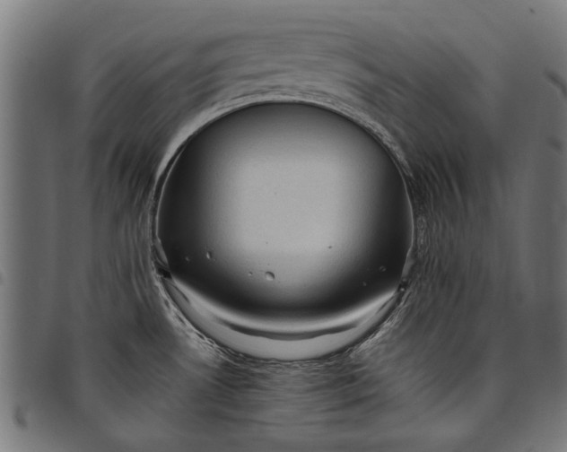 X0000097881530200803281212