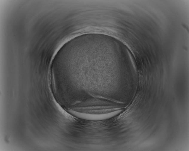 X0000097881531200803281212