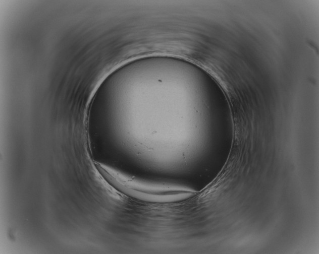 X0000097881532200803281212