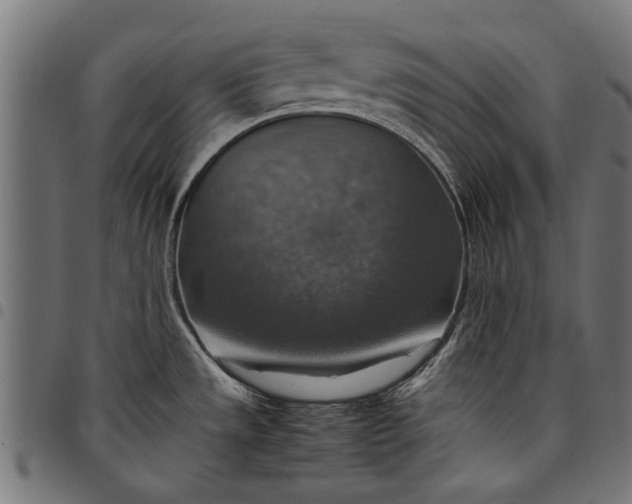 X0000097881533200803281212