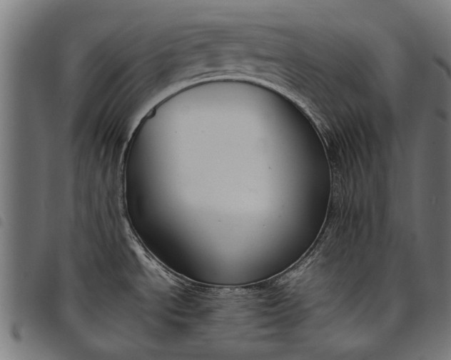 X0000097881534200803281212