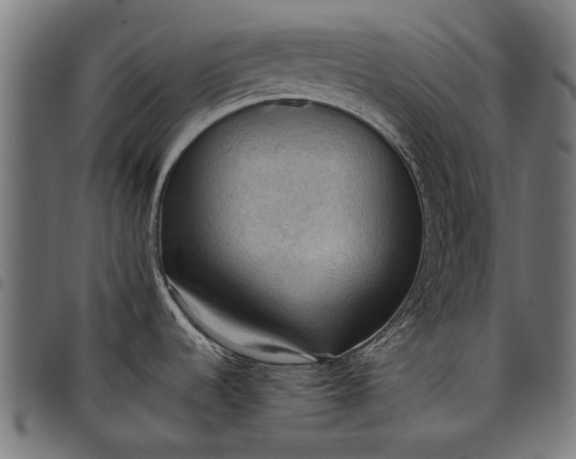 X0000097881536200803281212